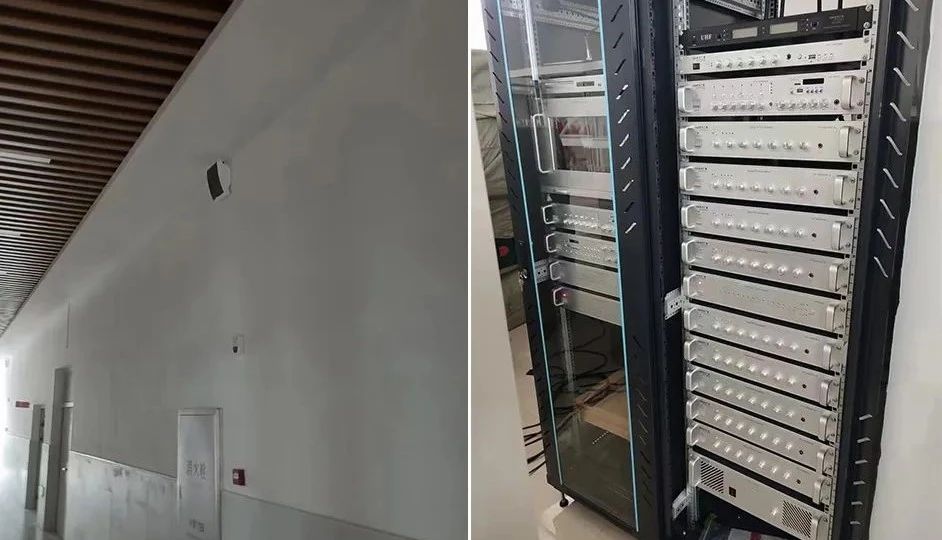 XPJ(中国区)官方网站